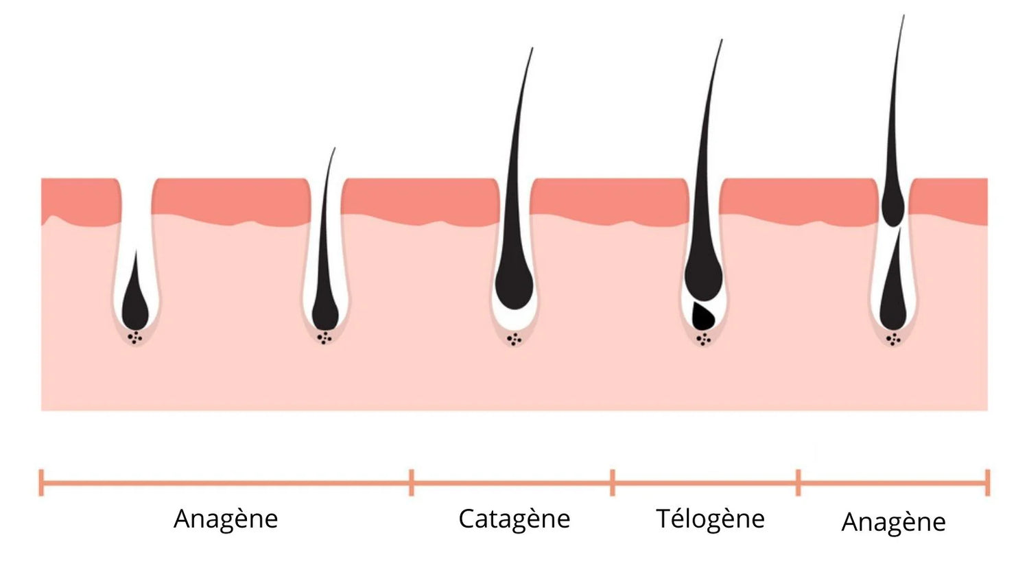 Les Facteurs qui Affectent la Croissance des Cils et Comment un Sérum Peut Aider