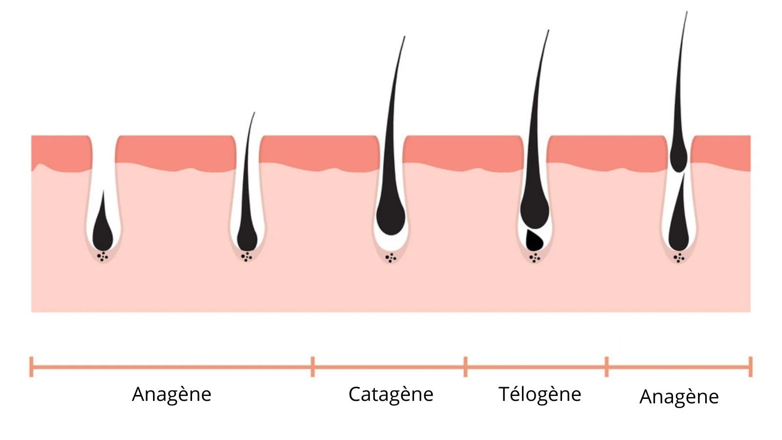 Les Facteurs qui Affectent la Croissance des Cils et Comment un Sérum Peut Aider